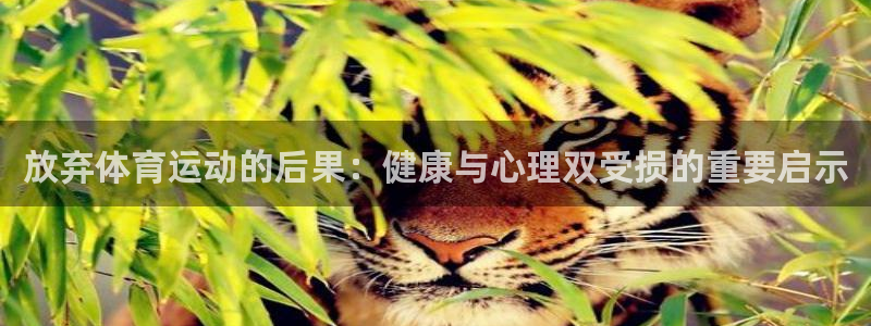 必一运动bsport体育：放弃体育运动的后果：健康与心理双受损的重要启示