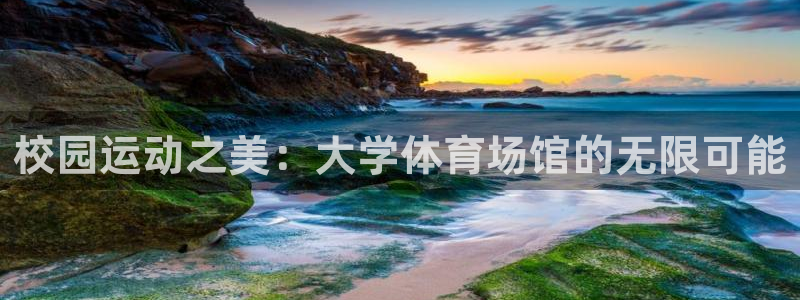 必一运动bsport体育：校园运动之美：大学体育场馆的无限可能