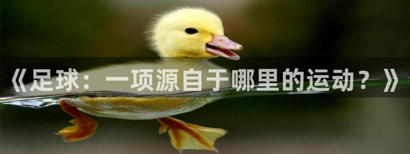 bsport必一运动：《足球：一项源自于哪里的运动？》