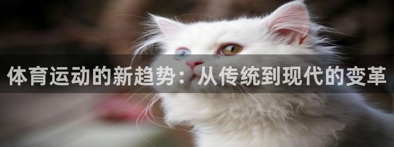 b体育必一运动官网：体育运动的新趋势：从传统到现代的变革
