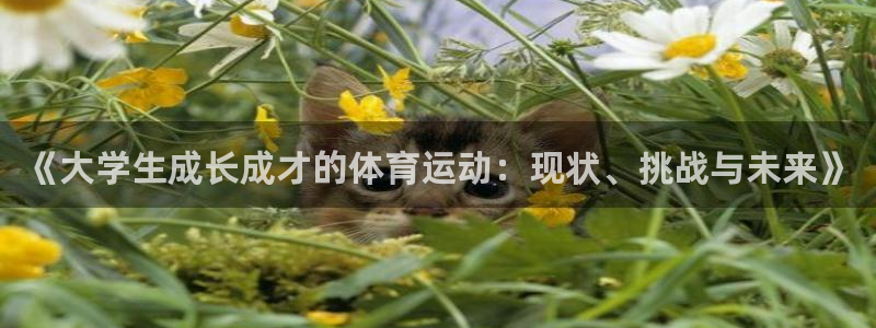 必一运动官网：《大学生成长成才的体育运动：现状、挑战与未来》