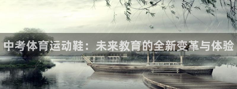bsports必一运动：中考体育运动鞋：未来教育的全新变革与体验