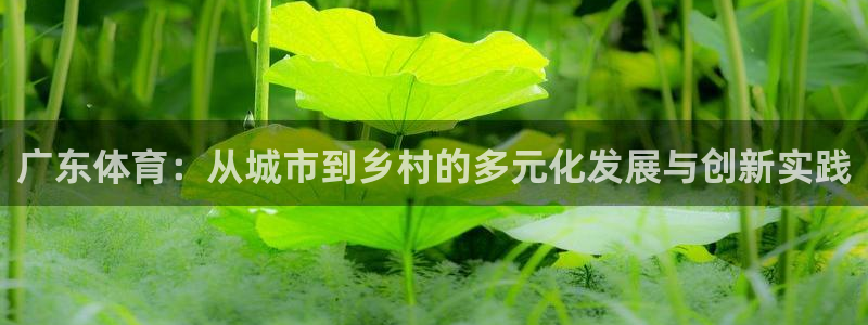 bsports官网 必一运动：广东体育：从城市到乡村的多元化发展与创新实践