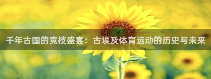 必一运动官网入口：千年古国的竞技盛宴：古埃及体育运动的历史与未来