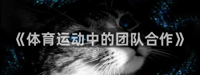 bsports必一运动