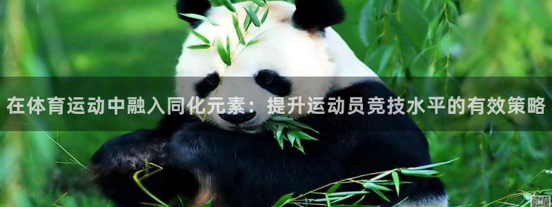 必一运动app：在体育运动中融入同化元素：提升运动员竞技水平的有效策略