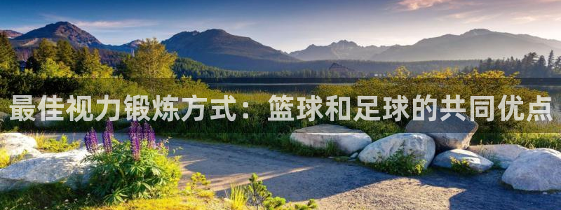 b体育必一运动官网：最佳视力锻炼方式：篮球和足球的共同优点