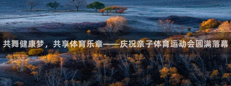 bsports必一运动：共舞健康梦，共享体育乐章——庆祝亲子体育运动会圆满落幕